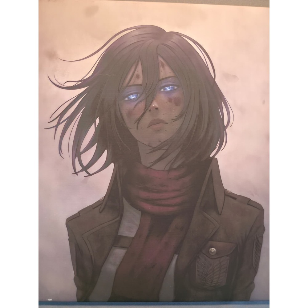 Attack on Titan Mikasa Ackerman Anime Canvas Wall Art Print – Pre-Owned